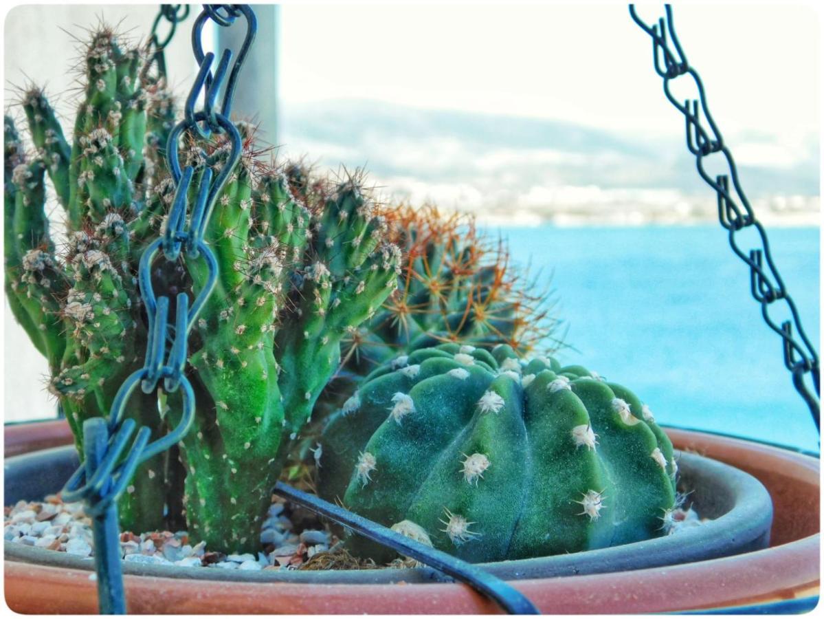 Littlevenice Appartme 50M From Sea Trogir Bagian luar foto