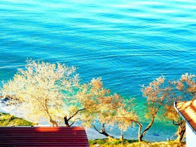 Littlevenice Appartme 50M From Sea Trogir Bagian luar foto